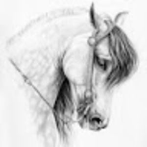 Meet your Posher, Charity